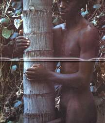 Vintage Black Boys and Men Gay Porn 6177dc38521bc.jpg