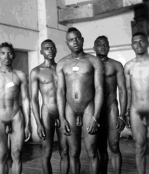 Vintage Black Boys and Men Gay Porn 6177dd4b21a16.jpg