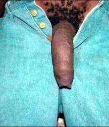Big Uncut Black Dicks Gay Porn 617c9815ed035.jpg