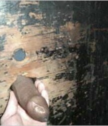 Black Cocks Serviced at Gloryholes Gay Porn 61998b3676af3.jpg
