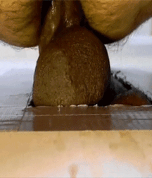 Black Cocks Serviced at Gloryholes Gay Porn 61998b54b21fc.gif