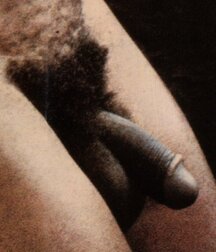 Vintage Men and Boys of Color 619c559e1d756.jpg