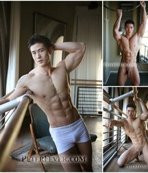Pornstar - Peter Lee Gay Porn 6125621150fbc.jpg