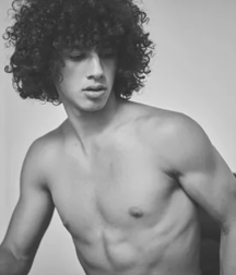 mop top model 5dd7f6d7ab294.png