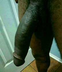 arab cock boys porn 6144a515e09e8.jpeg