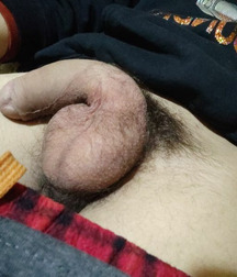 Beautiful Teen Dicks Big Gay Porn Cocks Proud 6220184d222b4.jpg