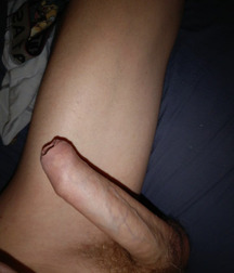 Hung teen boys uncut cock 6244fee9c03de.jpg