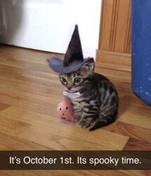 Gayboystube Halloween 61596d5add1fc.jpg