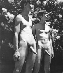 Vintage views classic gay porn guys 62480bf743124.jpeg