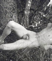 Vintage views classic gay porn guys 62480c247fb5f.jpeg