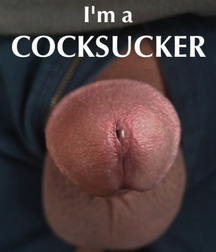 COCKS TO DROOL FOR 59b726765450d.jpg