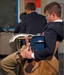 SPRING FEVER 5cd608e411767.jpg