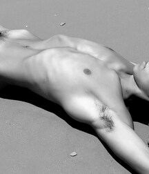 Black And Whites Gay Porn 6182fc8ee0f46.jpg