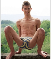 Art Of Porn Twink Mix Teen Gay Porn 624835307ccdb.jpg