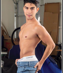 Art Of Gay Porn Twink Mix Twinks Delightful 629dbd4a6d563.jpg