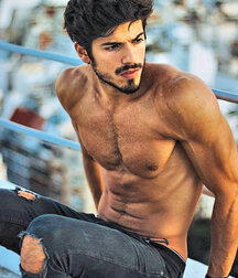 Hot boys no porn ripped guys shirtless 62bee099cae02.jpg