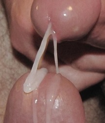 Random pics from boys porn having sex 62f25182702eb.jpg