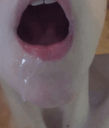 Hot teen boys porn fresh selfie cum fun early 62391c9437381.gif