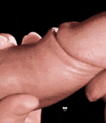 Young teen hotties mix selfies twink tube 6259aa319bbcd.gif