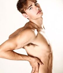 Evan Harman handsome boys porn fashion model 625091ac53e5a.jpeg