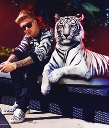 Bieber Superboy comendo o amigo gay porn 618e949d9a31c.jpg