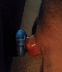 Throbbing Twink Cock Gay Porn 61988a96d37b9.gif
