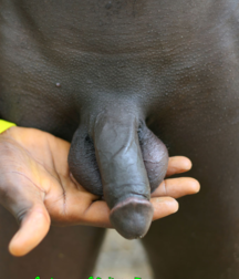 GBT BLACK PEARLS GAY PORN 61e72e92eacfb.png