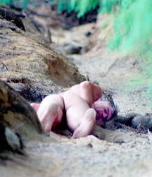 dognaked naked twink tube porn 61d8e067f31ad.jpg