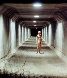 dognaked naked twink tube porn 61d8e1e37b526.jpeg