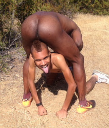 Esquyss: Black beauties together 5c6c46446eb00.jpg