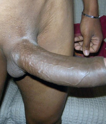 Esquyss: Black cocks 5cf6ac5587b1a.jpg