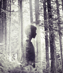 Skeatz's Forest Boys Porn Art 6245c31aa5f4b.jpg