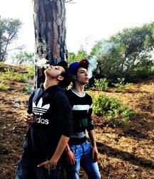 Smoking Collection Guys Straight Bad Twink Tube 624dd9554ca94.jpg