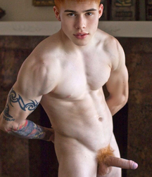 Sexy boys big cool cocks playful buddies 62b053dadda26.jpeg