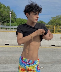 Dream boys super sexy twink tube ripped 62b97a372cbbc.jpeg
