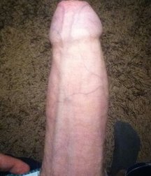 Beautiful Manuel 59804d94c6849.jpg