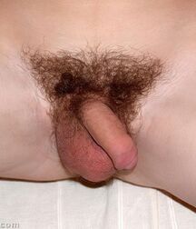 Uncut flaccid penises of various types cocks boys porn 626d6a4c1dfa7.jpg