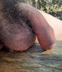 Uncut flaccid penises of various types cocks boys porn 626d6a9de4ead.jpg