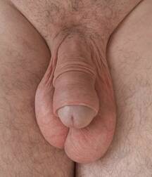 Uncut flaccid penises of various types cocks boys porn 626d6aa02b5f5.jpg