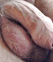 Uncut flaccid penises of various types cocks boys porn 626d6ac8a7e0a.jpg