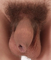 Uncut flaccid penises of various types cocks boys porn 626d6b1e6dbe6.jpg