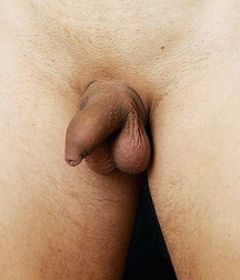 Uncut flaccid penises of various types cocks boys porn 626d6b95dd160.jpg