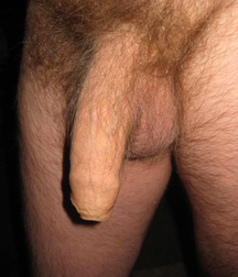 Uncut flaccid penises of various types cocks boys porn 626d6c10430a6.png