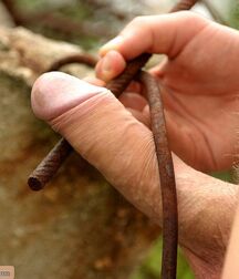 Curt solo outdoors teen gay porn tube 626d9db66af39.jpg