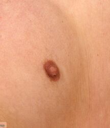 Curt solo outdoors teen gay porn tube 626d9e6f1b64f.jpg