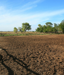 Teen farmer Tom solo outdoors boys porn 627291a138b4f.jpg