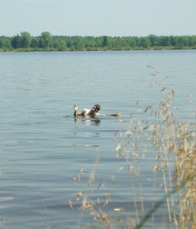 Andrey wanking and cumming outdoors boys porn 6278d8e855a30.jpg