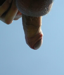 Andrey wanking and cumming outdoors boys porn 6278d9373145f.jpg