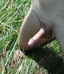 Andrey wanking and cumming outdoors boys porn 6278d99a61207.jpg