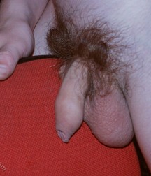 Cute teen boys porn Casper shows off in various solo sessions 627e1cd3e7067.jpg